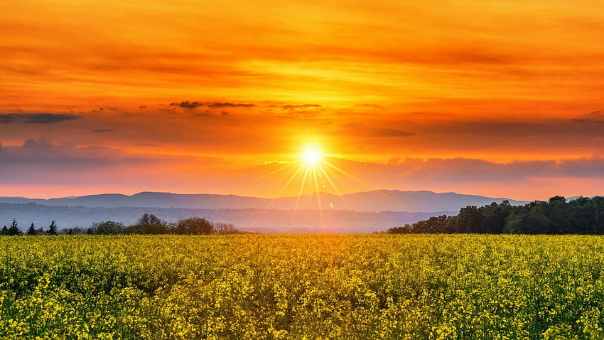 Frühling Sonnenuntergang, Strahlen, Sonnenstrahlen, Feld, Wolken, Bäume, Blumen, Himmel, Frühling, Berge, Sonne, Sonnenuntergang HD-Hintergrundbild
