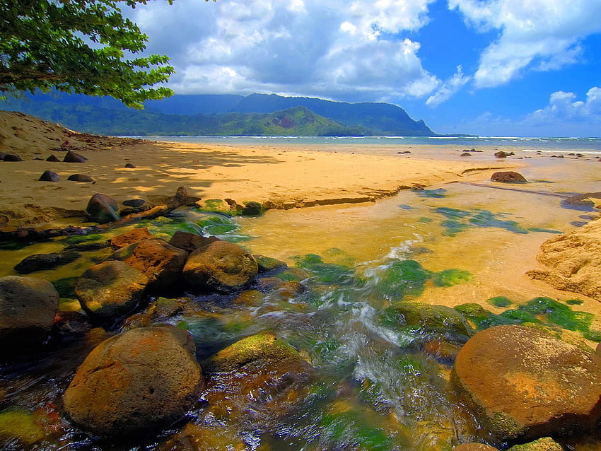 Nature, Stones, Sea, Sand, Hawaii, Day HD wallpaper