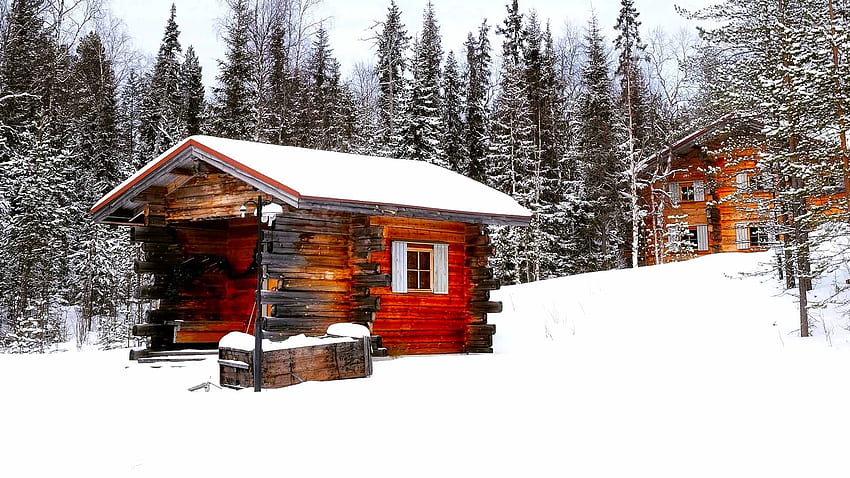 Winter cabin Zoom background snowy virtual meeting background, Cozy Winter  Cabin HD wallpaper | Pxfuel