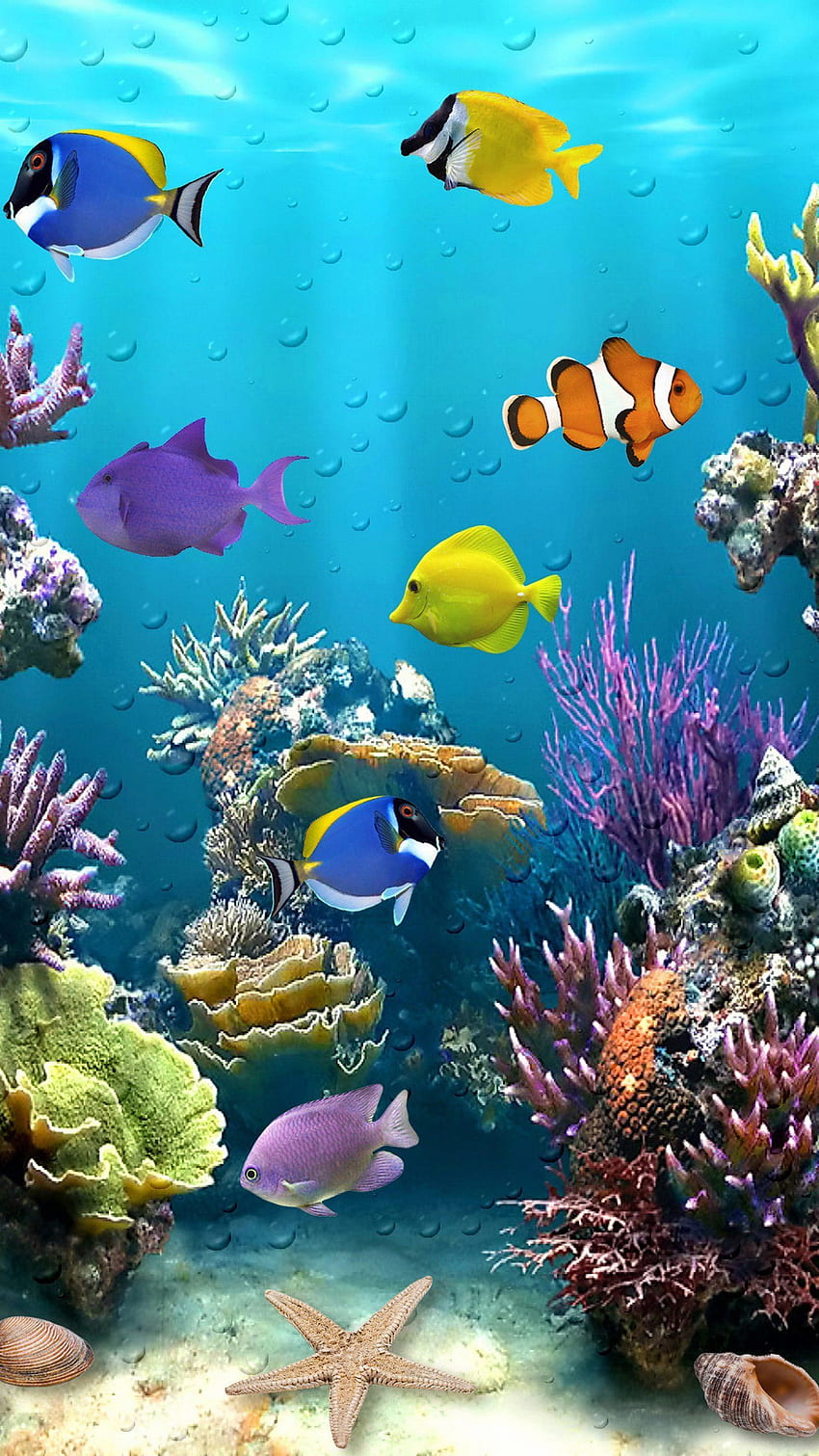 Подводна тропическа колекция риби, красива под вода HD тапет за телефон