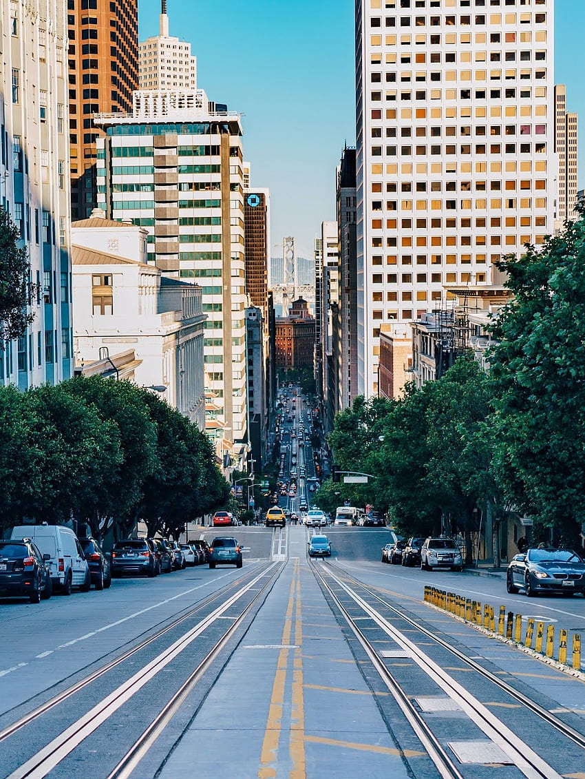San Francisco - Just Cool, SF City HD phone wallpaper