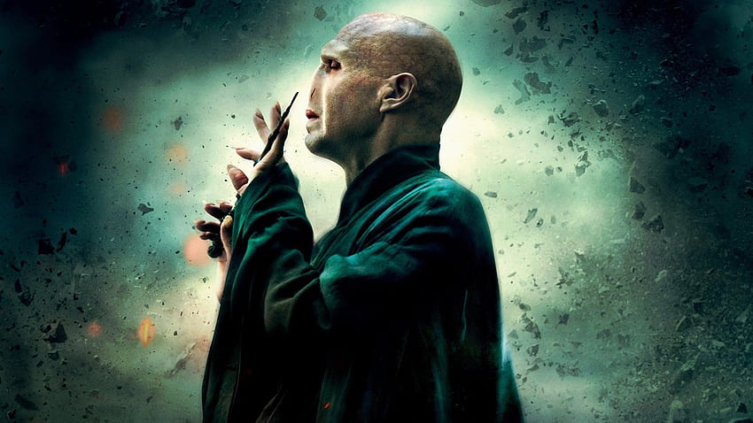 Lord Voldemort, vue de profil, Harry Potter - Résolution :, Harry Potter et Voldemort Fond d'écran HD