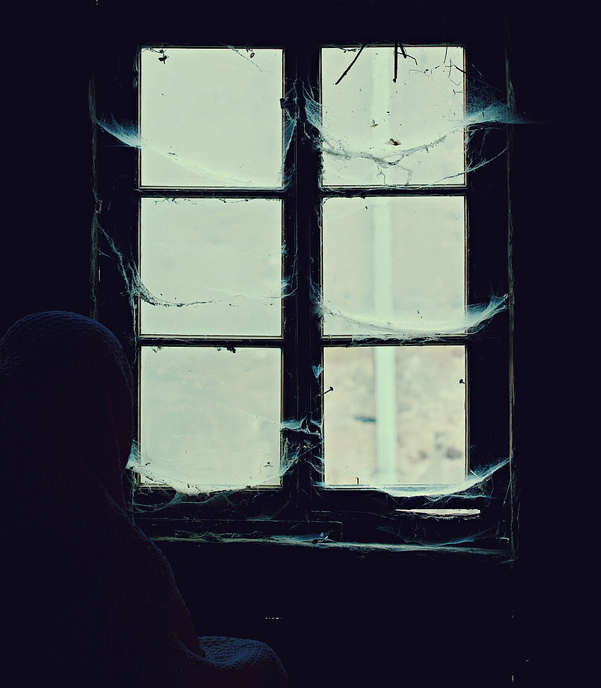Web, , , Window, Loneliness, Alone, Lonely, Abandoned, Hopelessness, Despair HD phone wallpaper