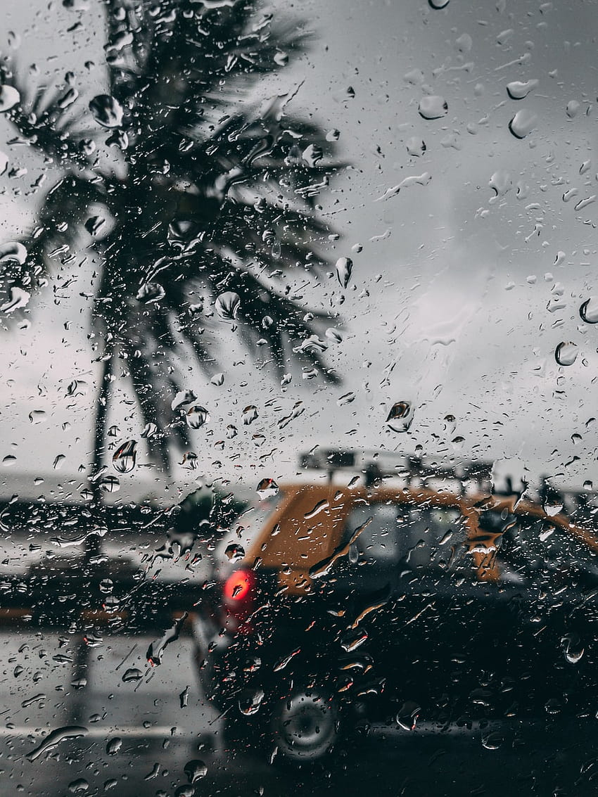 Mumbai Rain, Rainy Scenes HD phone wallpaper