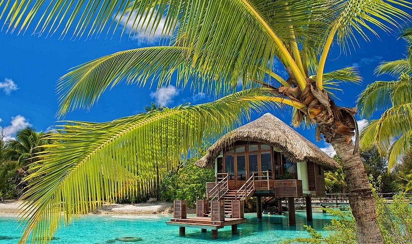 Palmen, Resort, Strand, Tropisch, Wasser, Bungalow, Meer, Sommer, Natur, Landschaft / und mobiler Hintergrund, Sommerstrandparadies HD-Hintergrundbild