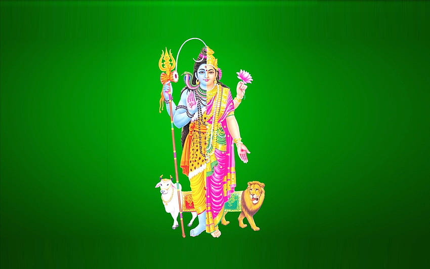 Lord Shiva In Rudra Avatar animiert, Mahadev Rudra Avatar HD-Hintergrundbild
