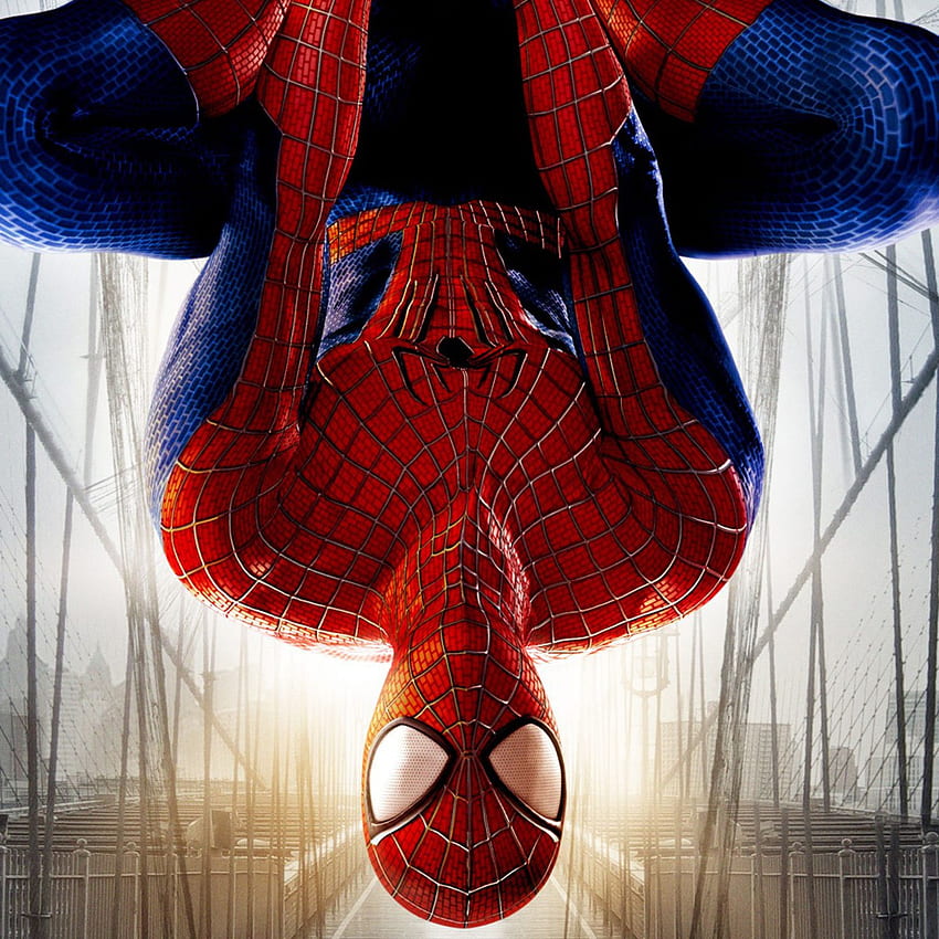 spider man 2048