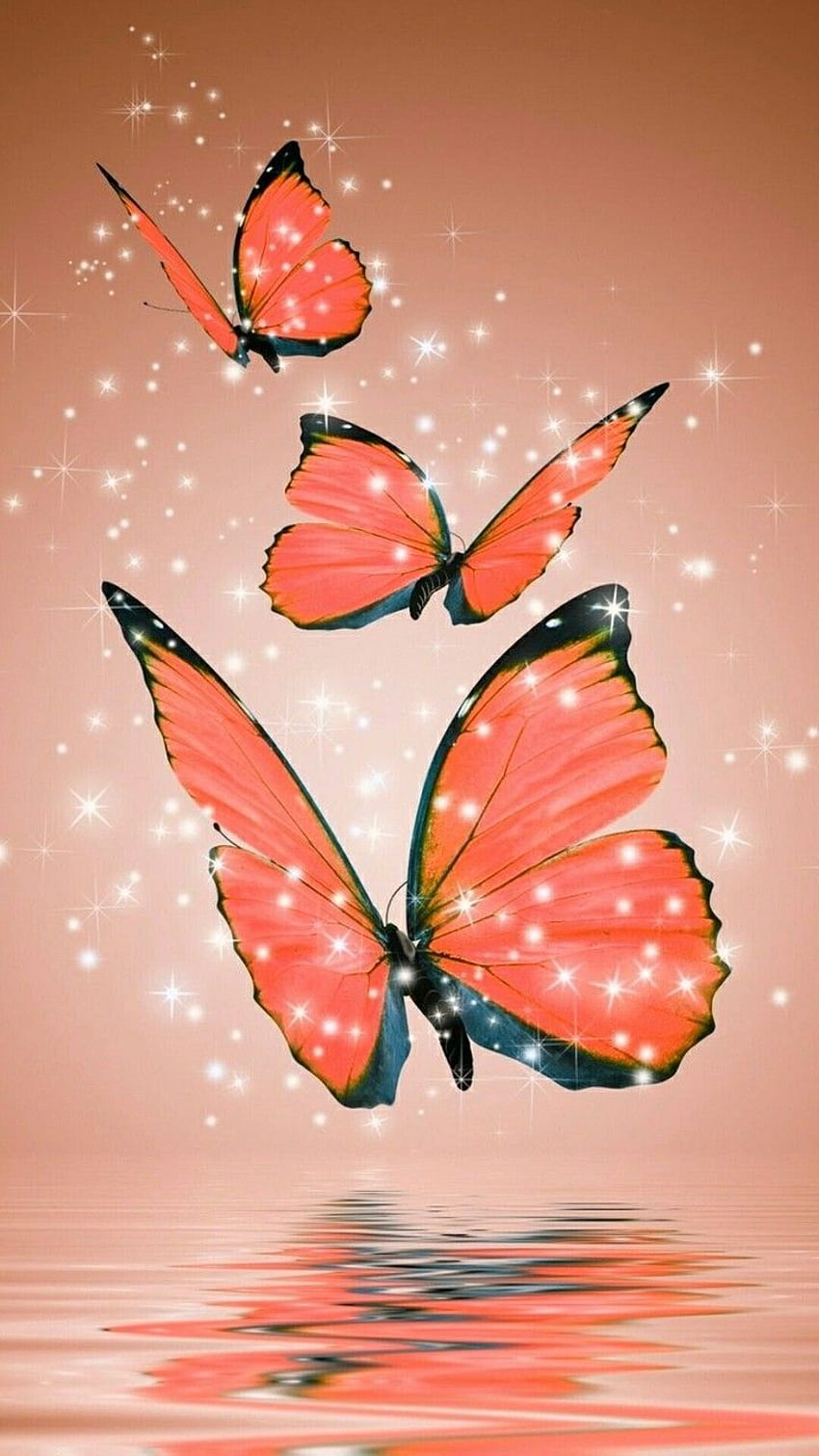 Orange butterflies reflections. Butterflies. Butterfly HD phone