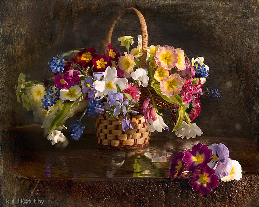 still life, bouquet, graphy, colors, beautiful, nice, basket, flower, cool, flowers, , harmony HD wallpaper