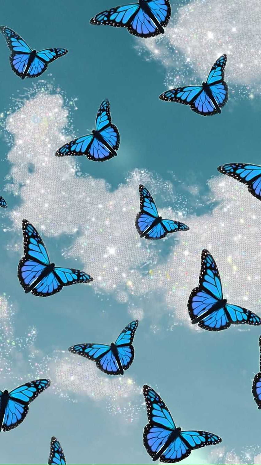 mariposa azul, mariposa minimalista fondo de pantalla del teléfono