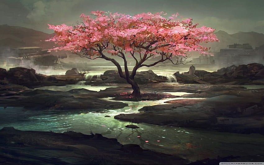 Cherry Blossom Art , Dark Cherry Blossom HD wallpaper
