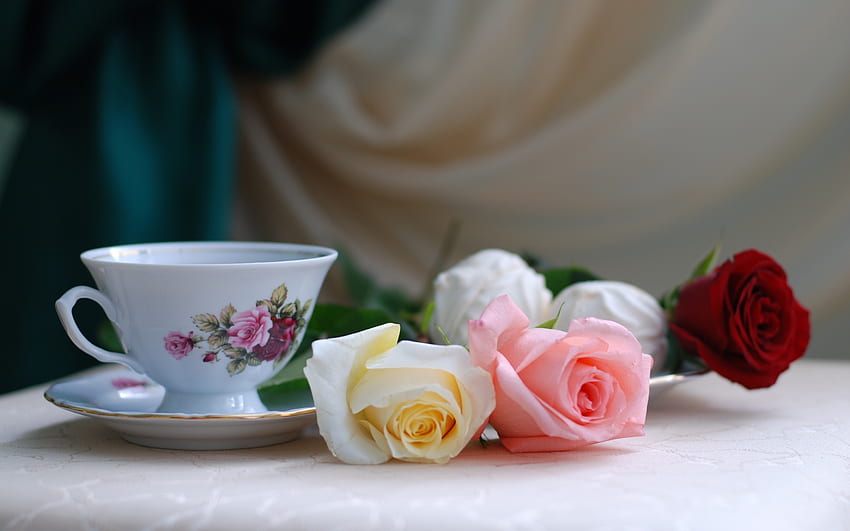 Flowers, Roses, Romance, Tea, Marshmallow, Zephyr HD wallpaper