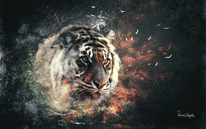 Seni Harimau, Seni Harimau Putih Wallpaper HD