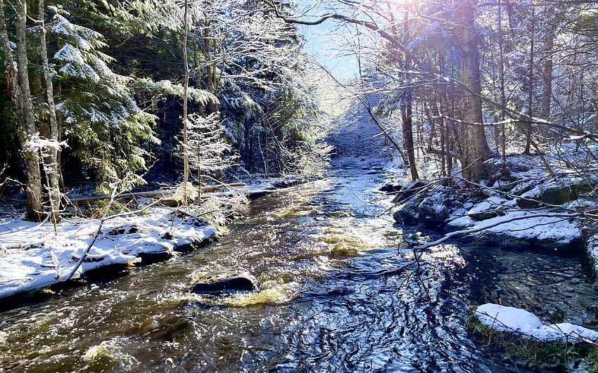 Nackawic, New Brunswick, Canadá, invierno, nieve, árboles, bosque, agua, piedras fondo de pantalla