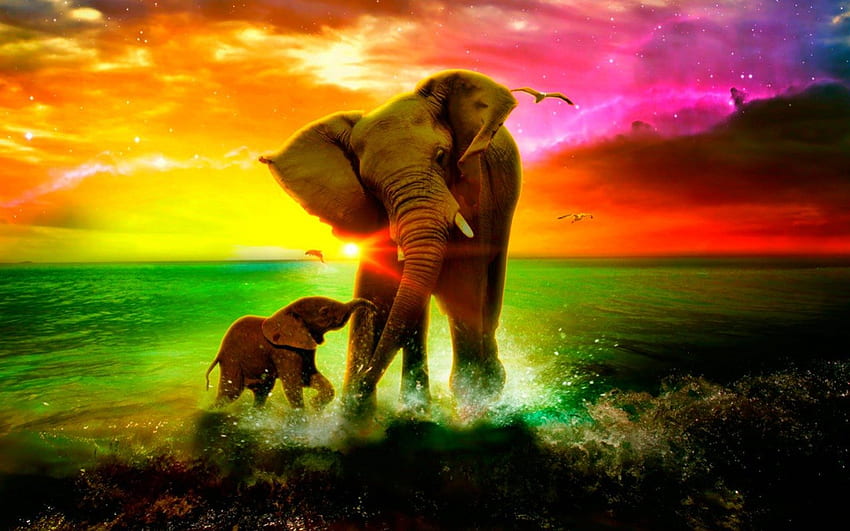 Elephants, sea, sky, animals HD wallpaper