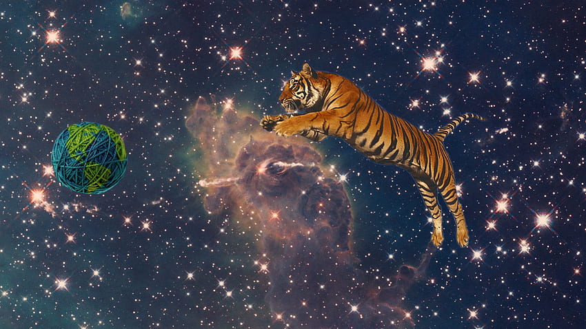 Space Tiger . HD wallpaper