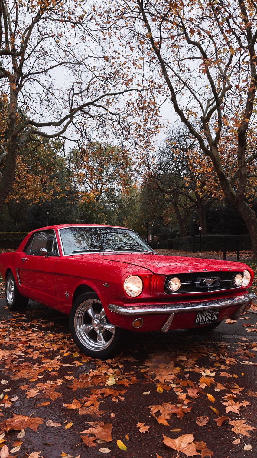 Ford Mustang - Top 35 der besten Ford Mustang Hintergrund , Ford Mustang Classic HD-Handy-Hintergrundbild