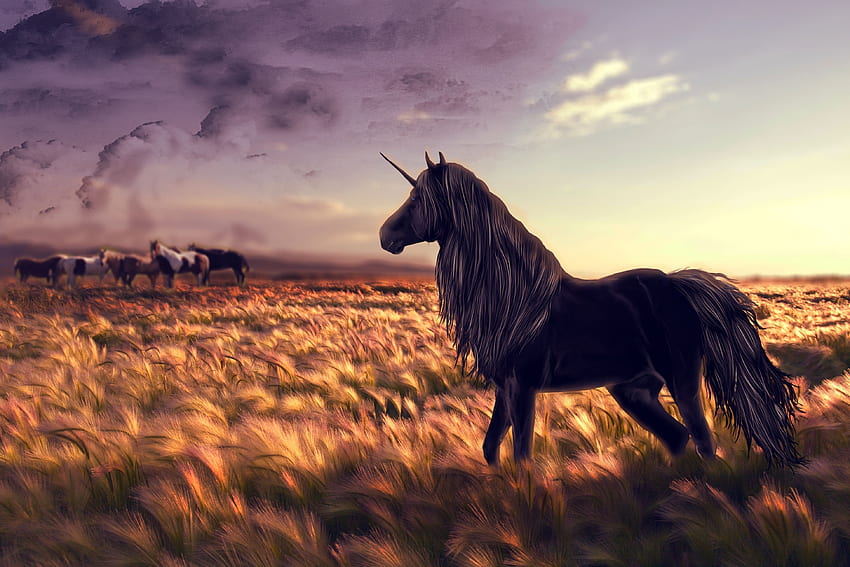 Rumput, Seni, Lapangan, Kuda, Unicorn, Angin Wallpaper HD
