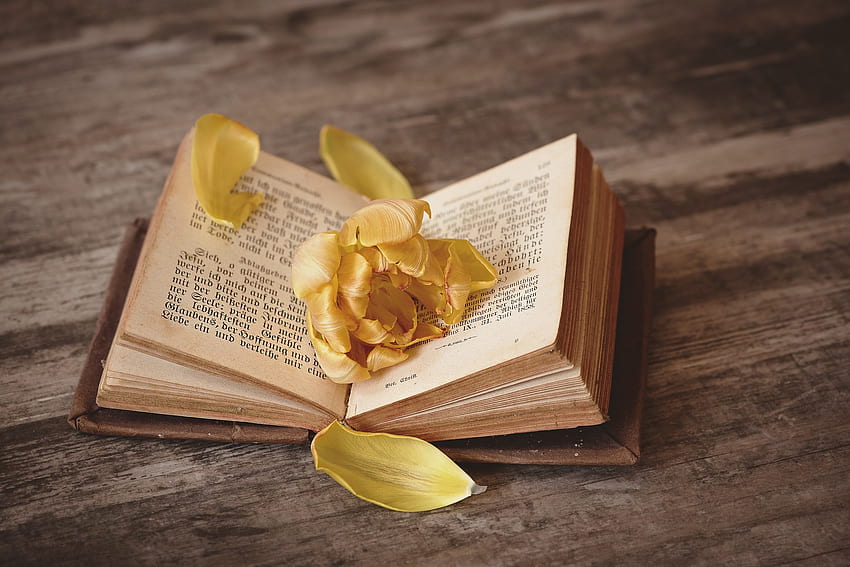 / book open pitched book pages pages font flower, Yellow Flowers Books HD wallpaper