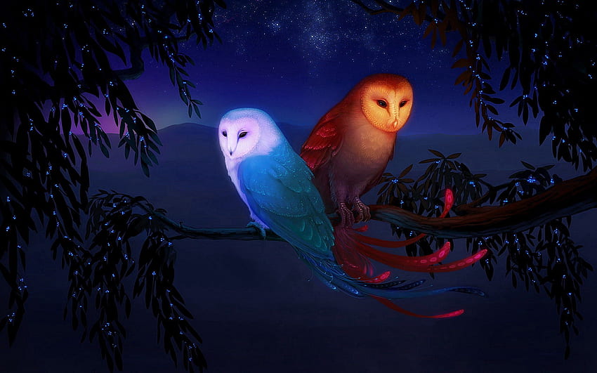 Birds, Art, Night, Owl, Branch HD wallpaper