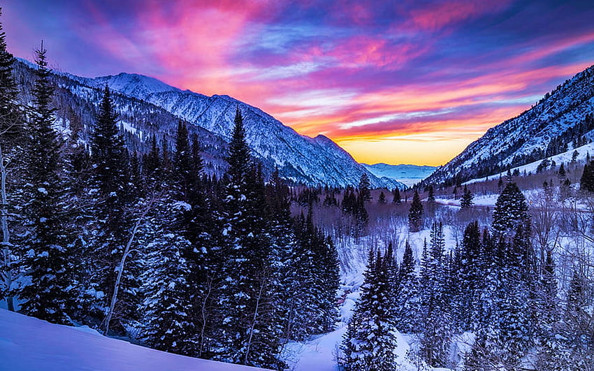リトルコットンウッドキャニオン、ワサッチ山脈、ユタ州、冬、雪、色、雲、風景、木、空、アメリカのカラフルな冬の夕日 高画質の壁紙