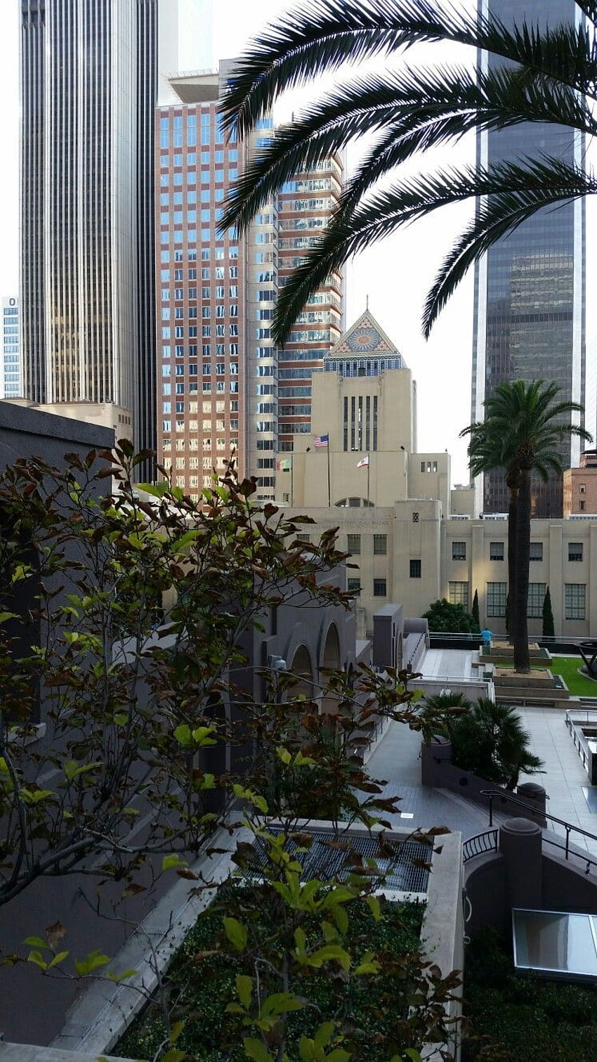 Centro de Los Ángeles. iPhone de Los Ángeles , Los Ángeles fondo de pantalla del teléfono