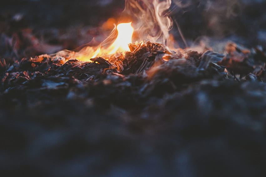 Fire, Bonfire, , , Ash HD wallpaper