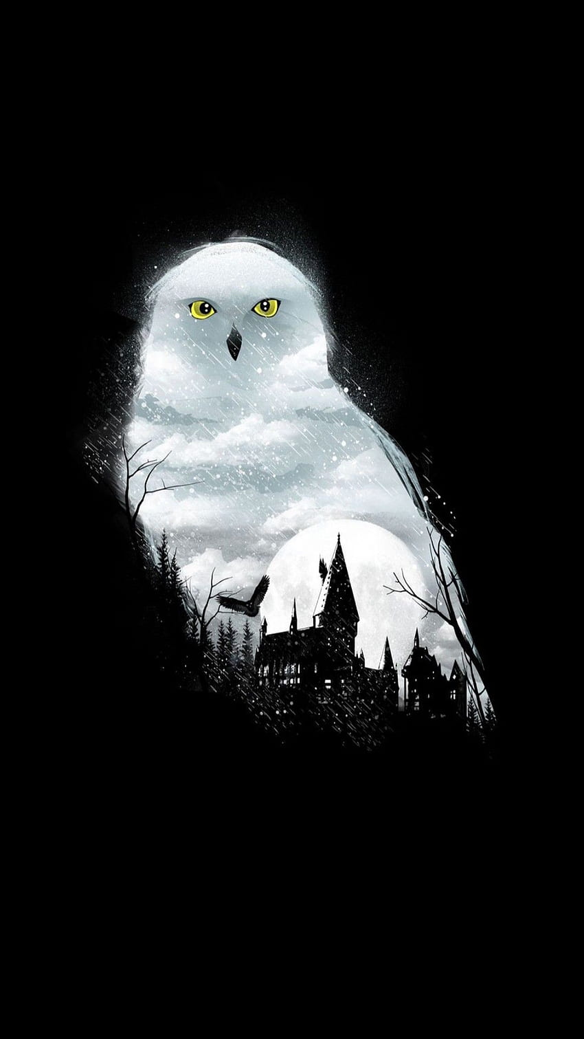 Edwiges, Magie, Fantasie, Harry Potter, Weiß, Eule, Harry, Nacht, Winter, Töpfer HD-Handy-Hintergrundbild