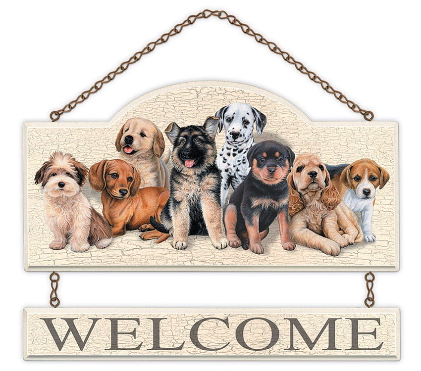 Warm Welcome, style, dogs, welcome, paws, precious, puppy, animals, love, pets, store, heart, lovely, forever, sweetheart HD wallpaper