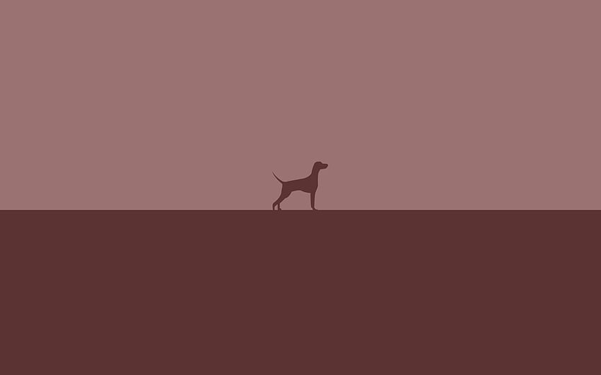 Dog minimalist HD wallpaper | Pxfuel