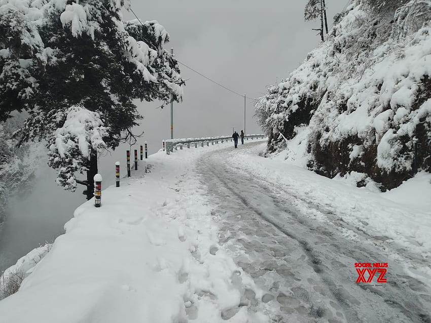 Mussoorie: Obfite opady śniegu Tapeta HD