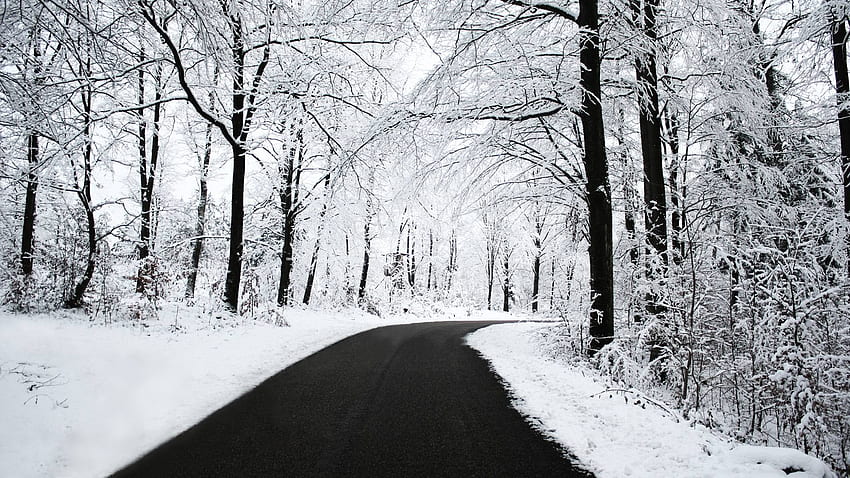 Зимни снежни сцени, снежен пейзаж HD тапет