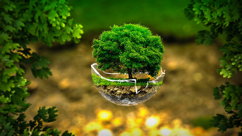 Pohon Lingkungan Hijau Kreatif, Hijau Wallpaper HD