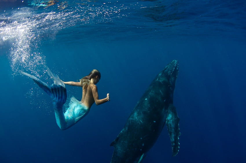 Гърбавият кит и една русалка.,кит,австралия,русалка,океан HD тапет