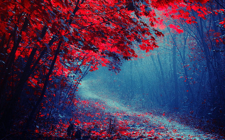Bosque de hojas rojas, camino, árboles, otoño, niebla, rastro fondo de pantalla