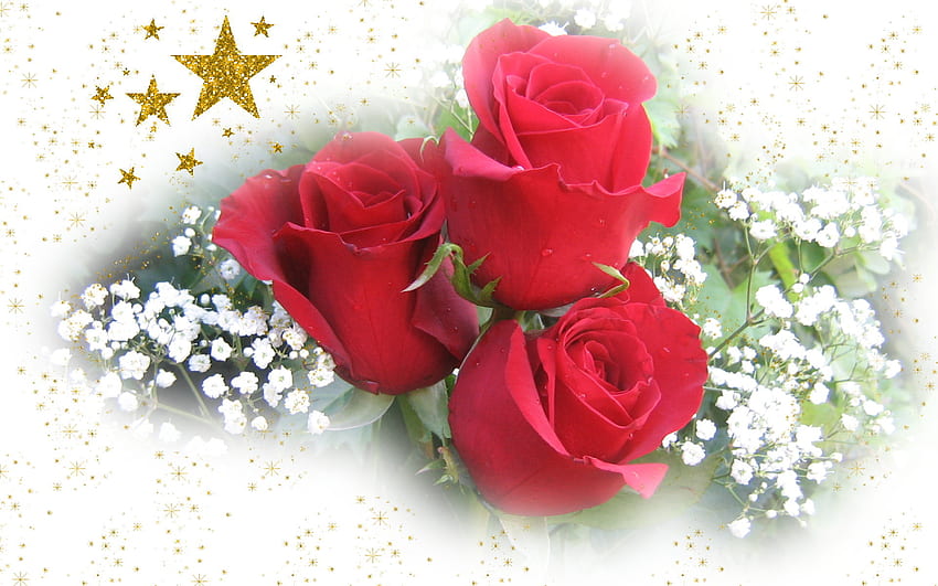 Rose di Natale per i miei amici Dn, natura morta, rose, amici, natale Sfondo HD