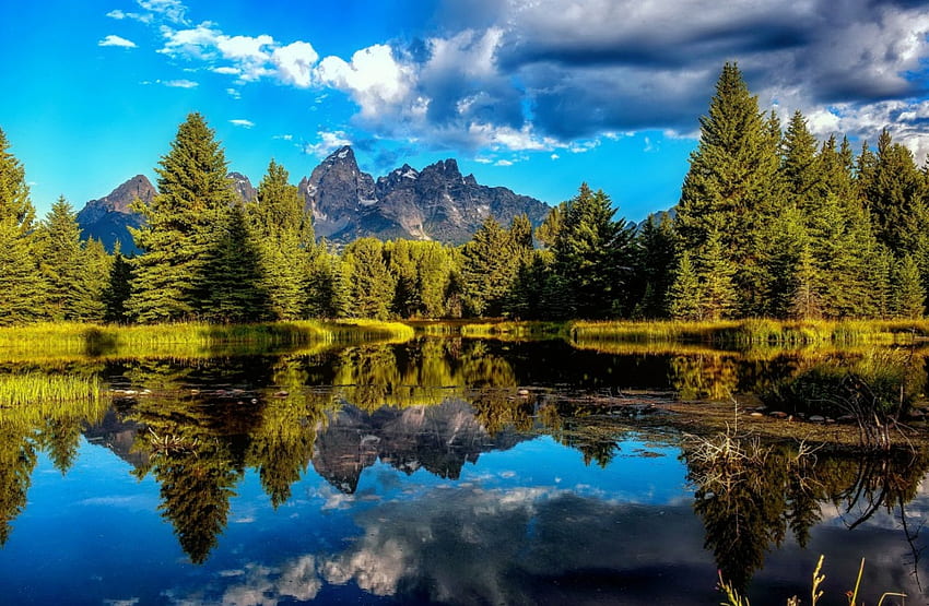 Reflexões, espelho, linda, serenidade, montanha, lago, costa, nuvens, árvores, céu, floresta papel de parede HD