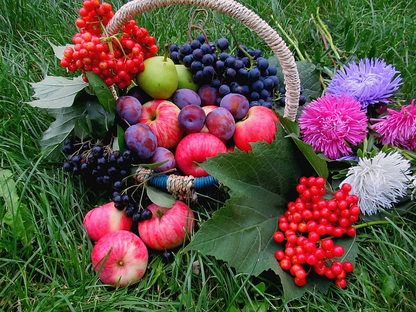 Kwiaty, jedzenie, trawa, jabłka, śliwka Tapeta HD