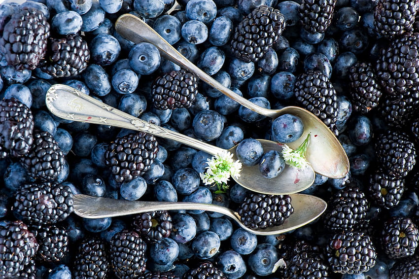 Food, Bilberries, Berries, Blackberry, Spoons HD wallpaper