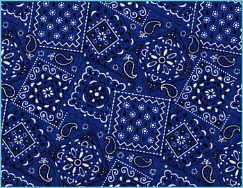 Download Vibrant Blue Bandana with Unique Paisley Print Wallpaper   Wallpaperscom