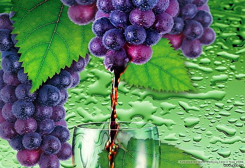 新しいワイン、紫、葉、ワイングラス、緑、つる、ブドウ、露、液体 高画質の壁紙