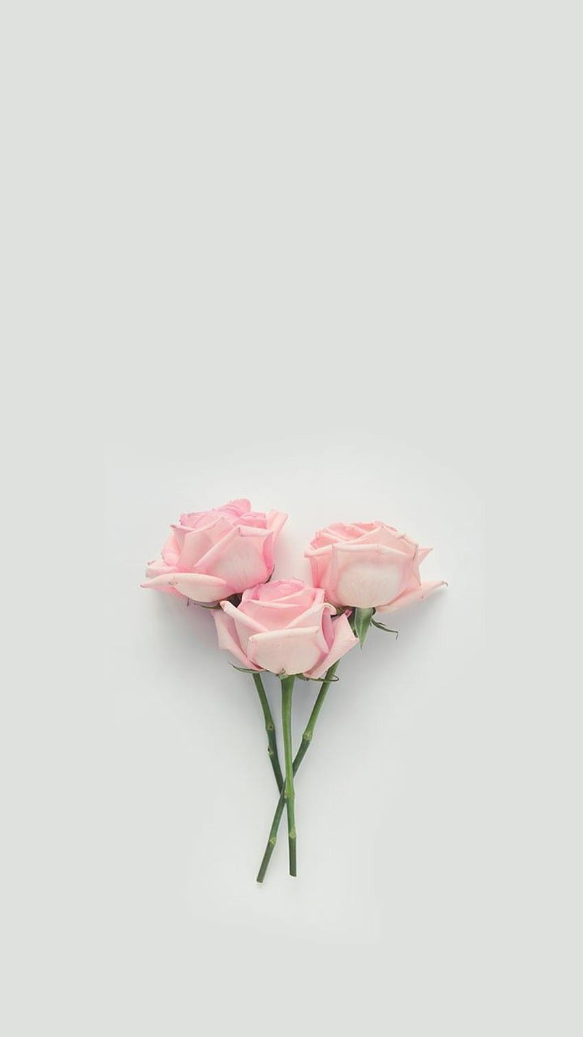 iPhone Tumblr Pastel Estética Rosa Oro Flores fondo de pantalla del teléfono