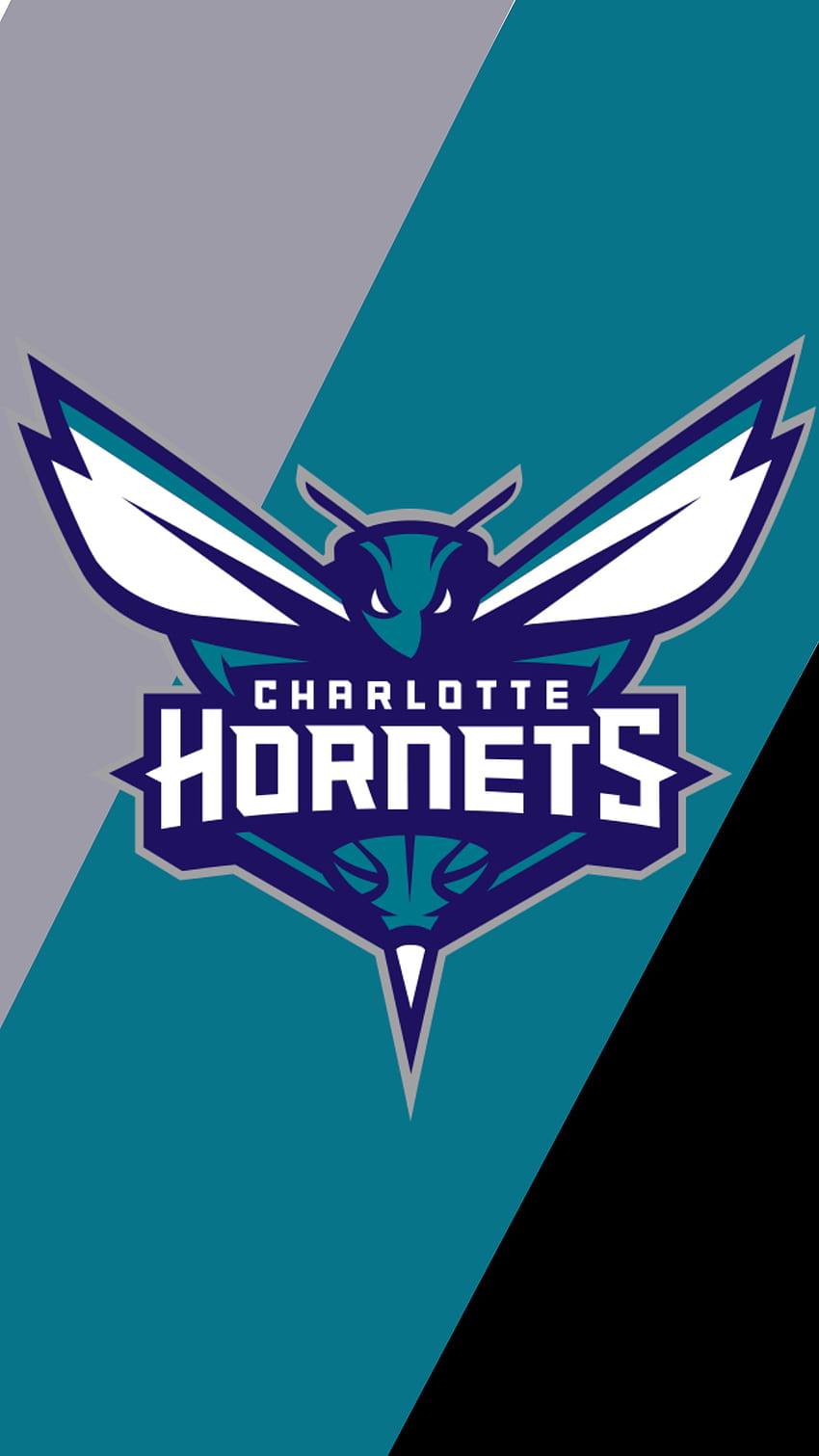 Charlotte Hornets, baloncesto, deportes, nba fondo de pantalla del teléfono