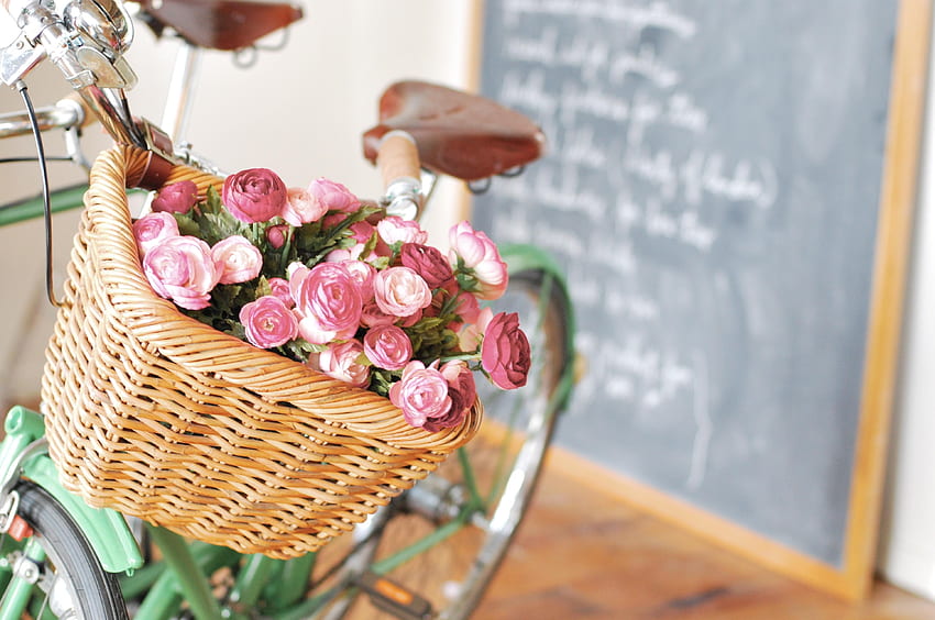 Flowers, Ranunculus, Ranunkulus, Basket, Bicycle, Board HD wallpaper