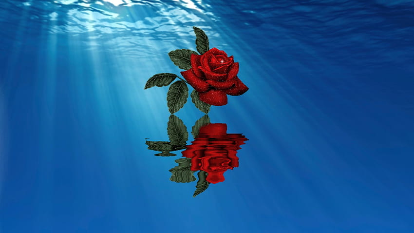 ~*~ Rose Over The Water ~*~, pojedyncza czerwona róża, czerwona róża, pojedyncza róża, róża nad wodą Tapeta HD