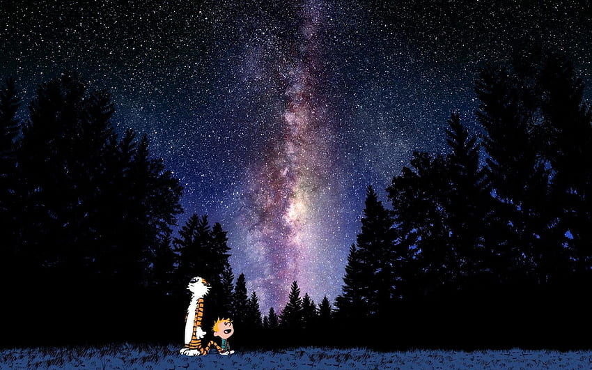 Calvin And Hobbes Looking At Stars | | ID:35253 HD wallpaper | Pxfuel