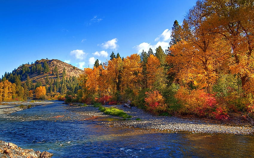 Autumn Camping HD wallpaper | Pxfuel