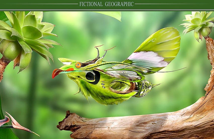 Fikcyjna geografia, gałąź, streszczenie, ptak, owad Tapeta HD