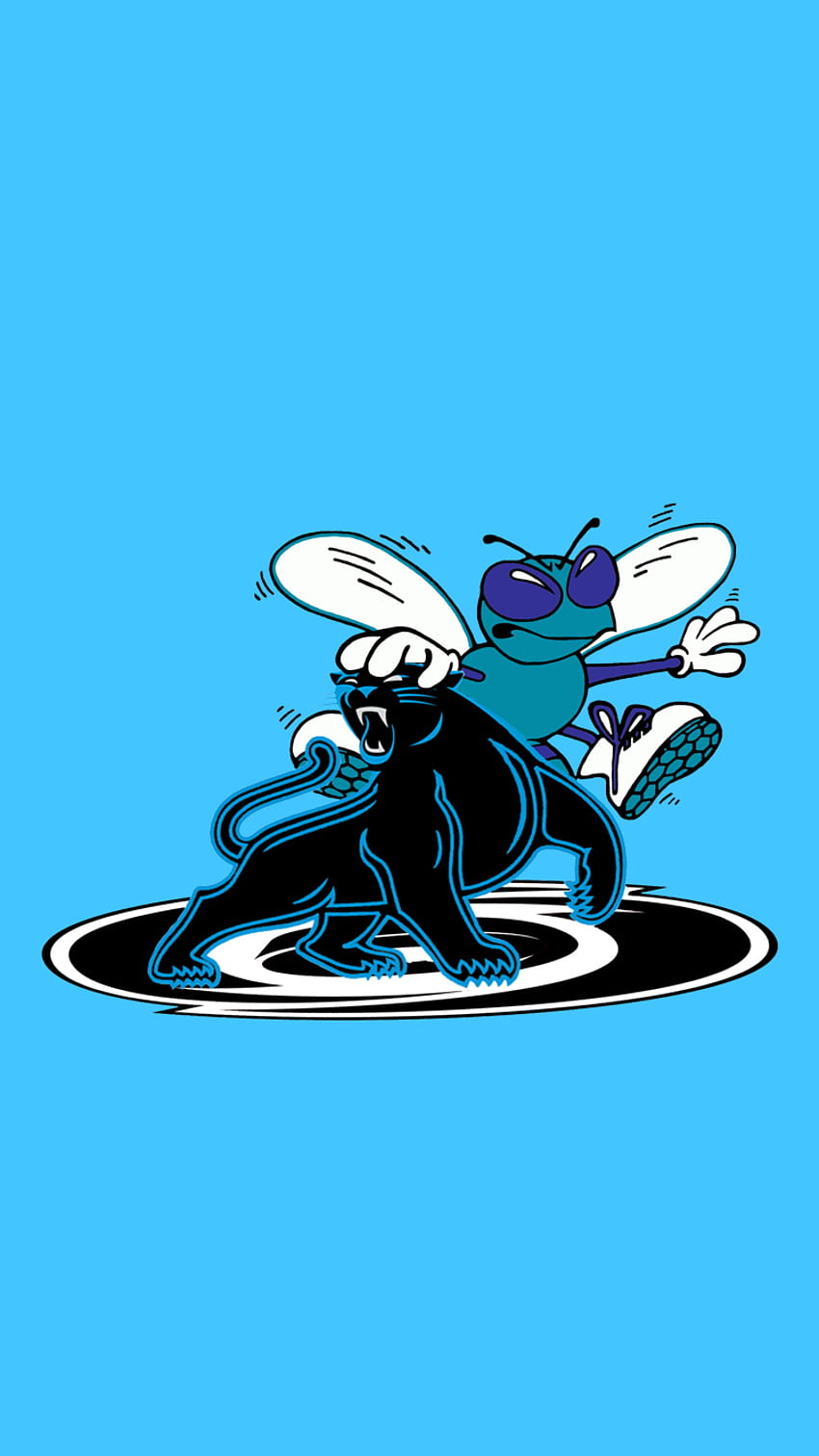 Hornets - Carolina Panthers And Charlotte Hornets - HD phone wallpaper