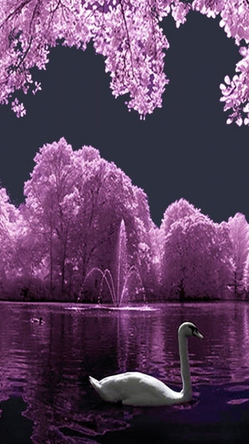 Two birds, tree, art picture 640x1136 iPhone 5/5S/5C/SE wallpaper,  background, picture, image